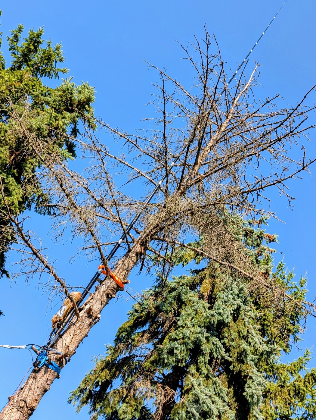 The antenna standing tall during FB WX (nice and straight).