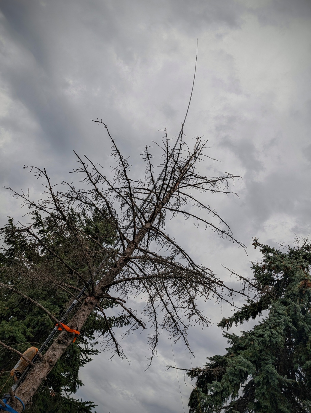 The antenna today, with the tip swaying in the heavy wind.